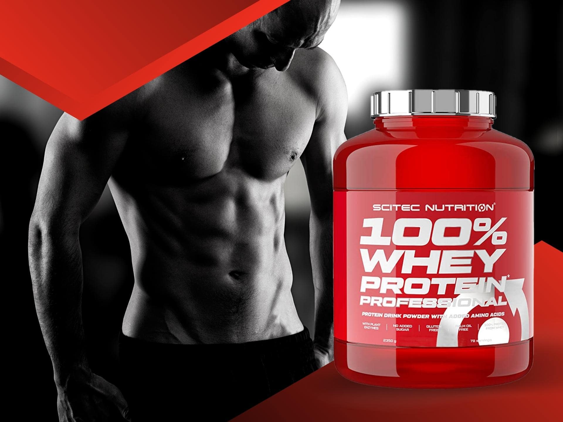 Whey Protein WPC