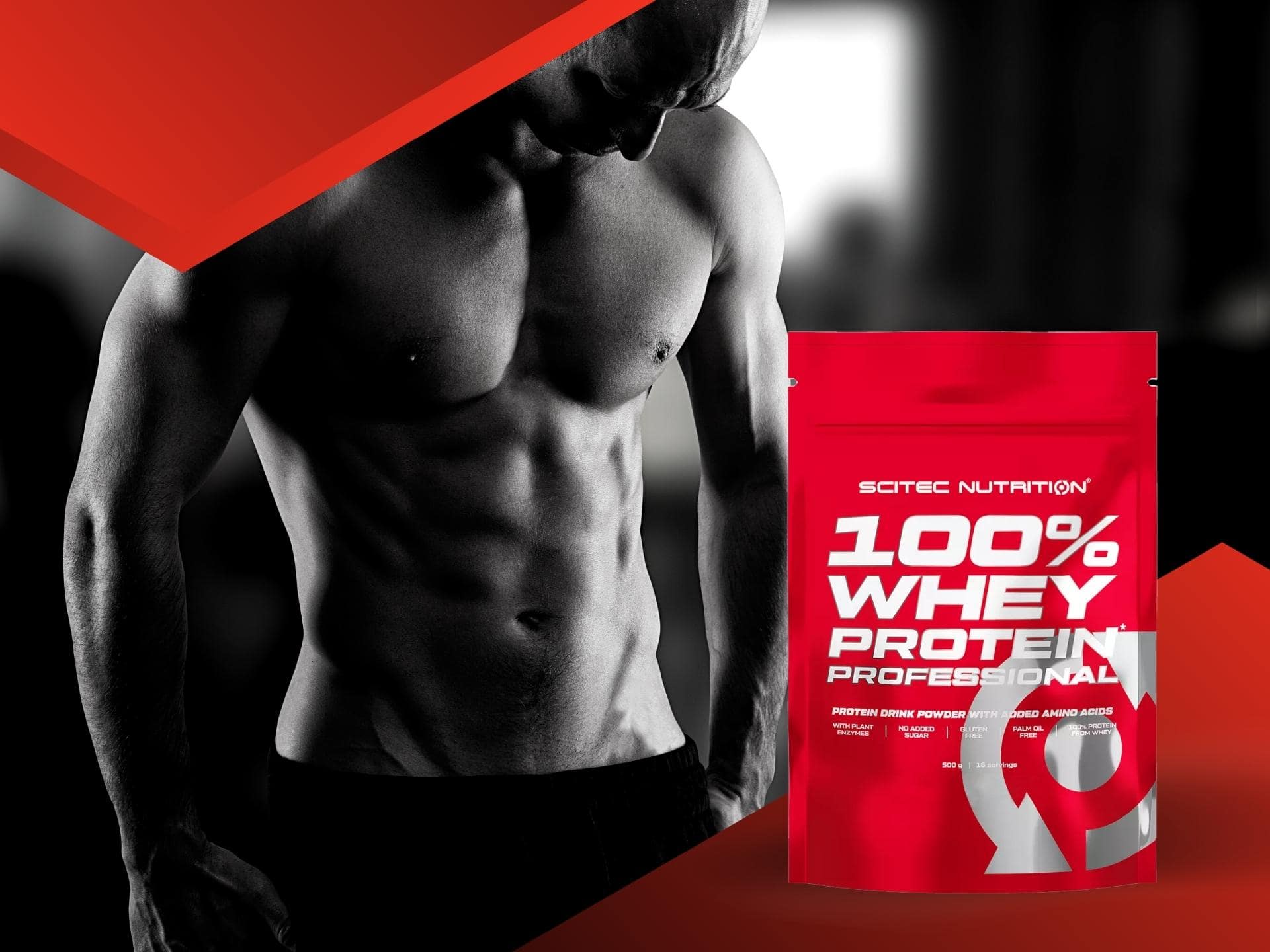 Whey Protein WPC