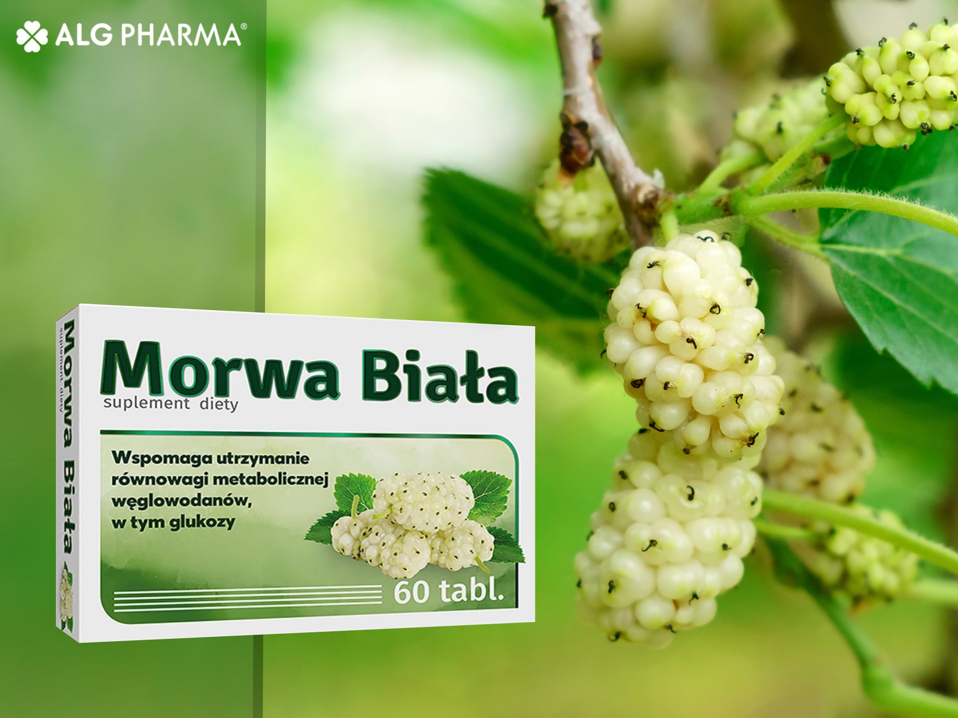Morwa biała - odpowiedni poziom cukru