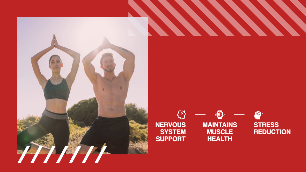 Magnez + Witamina B6 - wsparcie zdrowego snu, relaksu, przeciw skurczom ZMA