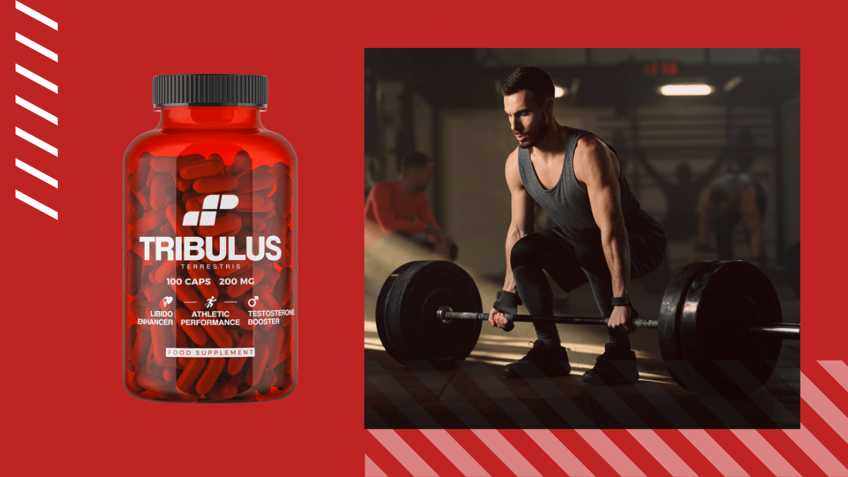 MP Nutrition - Tribulus 200mg 95% saponin