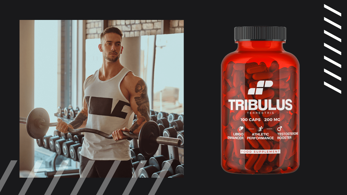 Tribulus - booster testosteronu