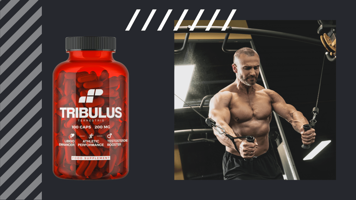 Tribulus - booster testosteronu