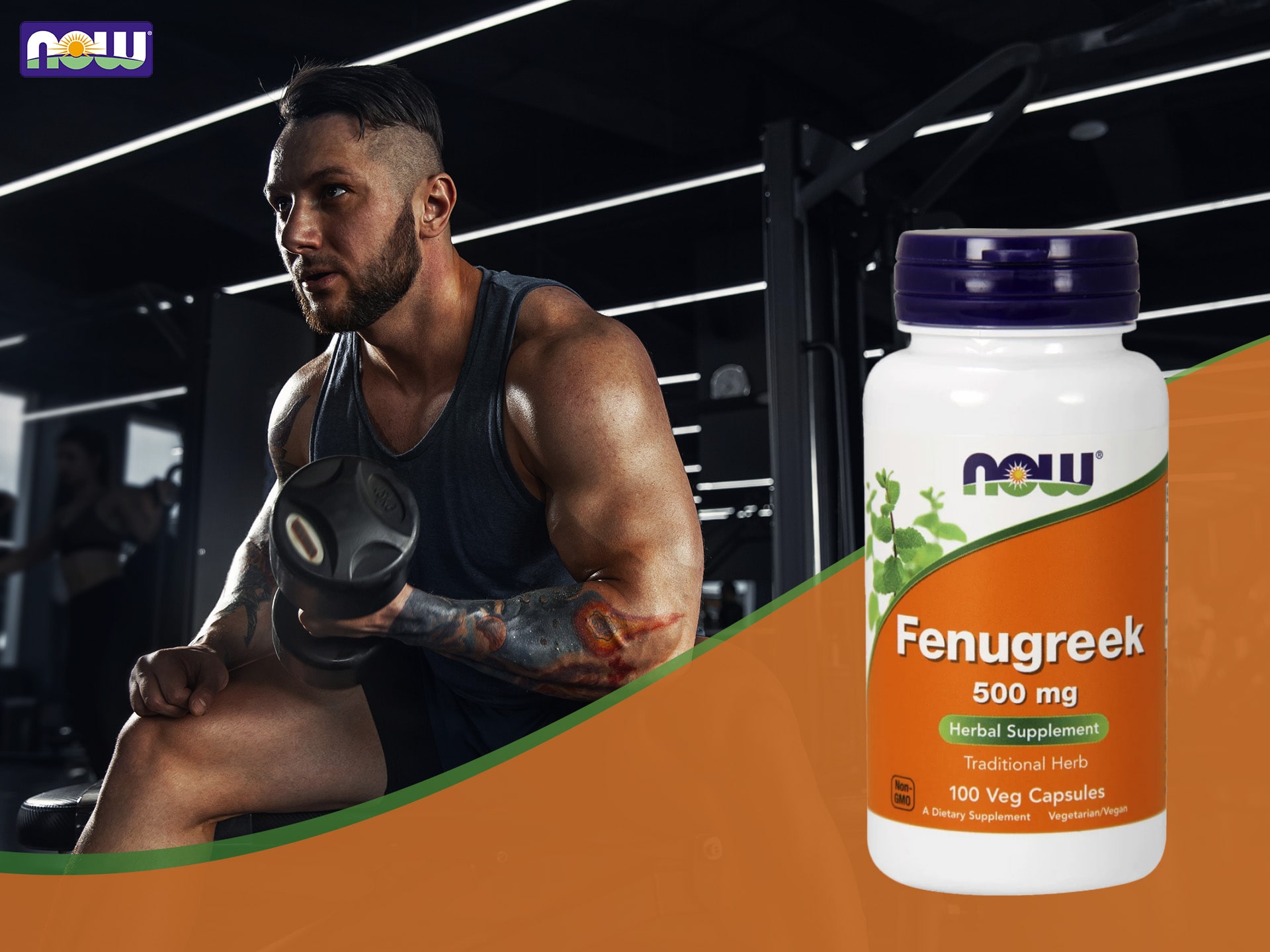 NOW - Fenugreek - extrait de fenugrec - régulation de l'équilibre hormonal, booster de testostérone