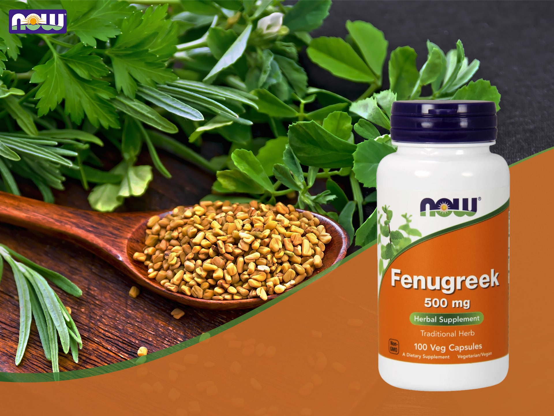 NOW - Fenugreek - extrait de fenugrec - régulation de l'équilibre hormonal, booster de testostérone