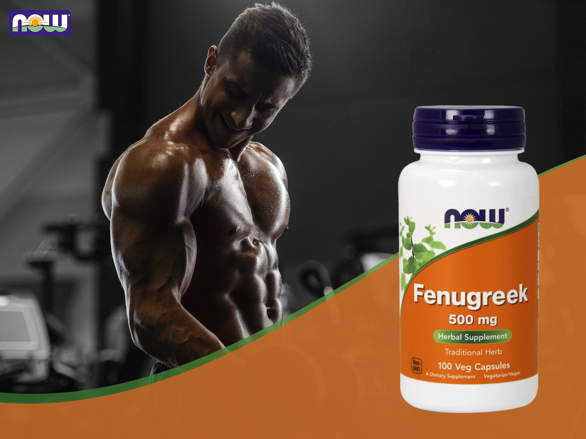 NOW - Fenugreek - extrait de fenugrec - régulation de l'équilibre hormonal, booster de testostérone