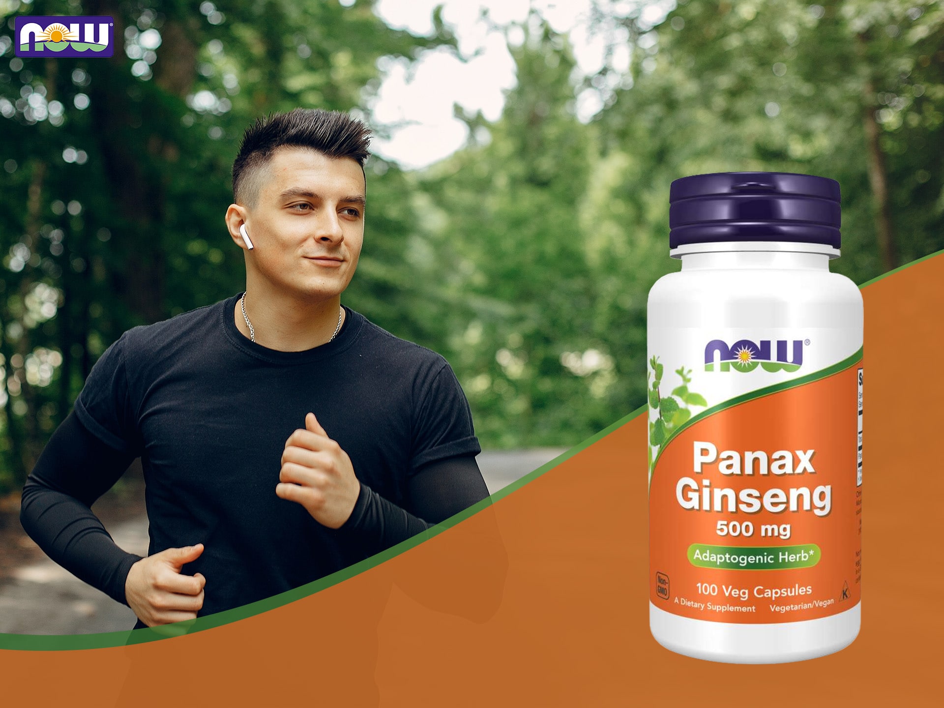 Panax Ginseng - ginseng - adaptogène, soutien cognitif, énergie