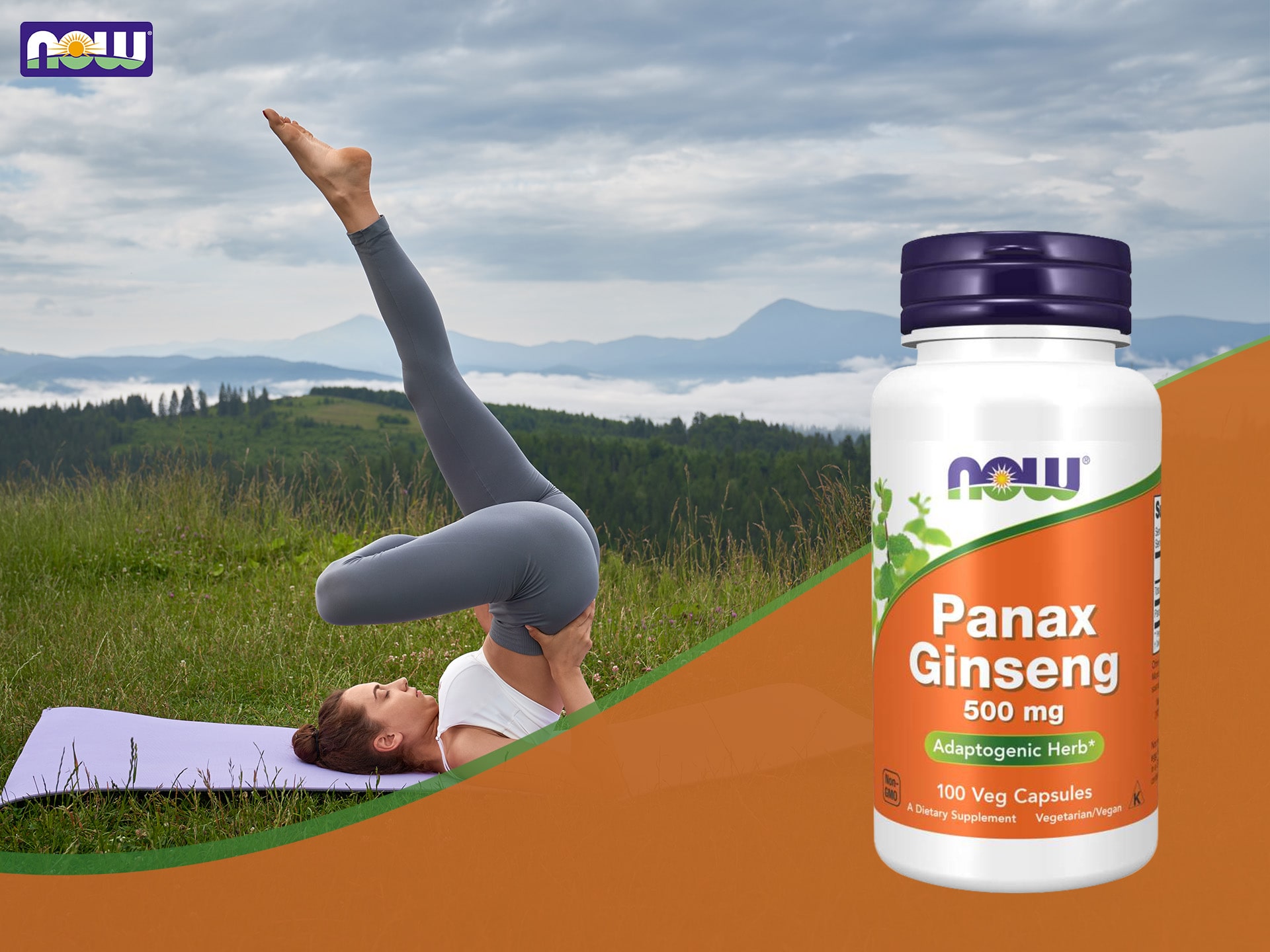 Panax Ginseng - ginseng - adaptogène, soutien cognitif, énergie