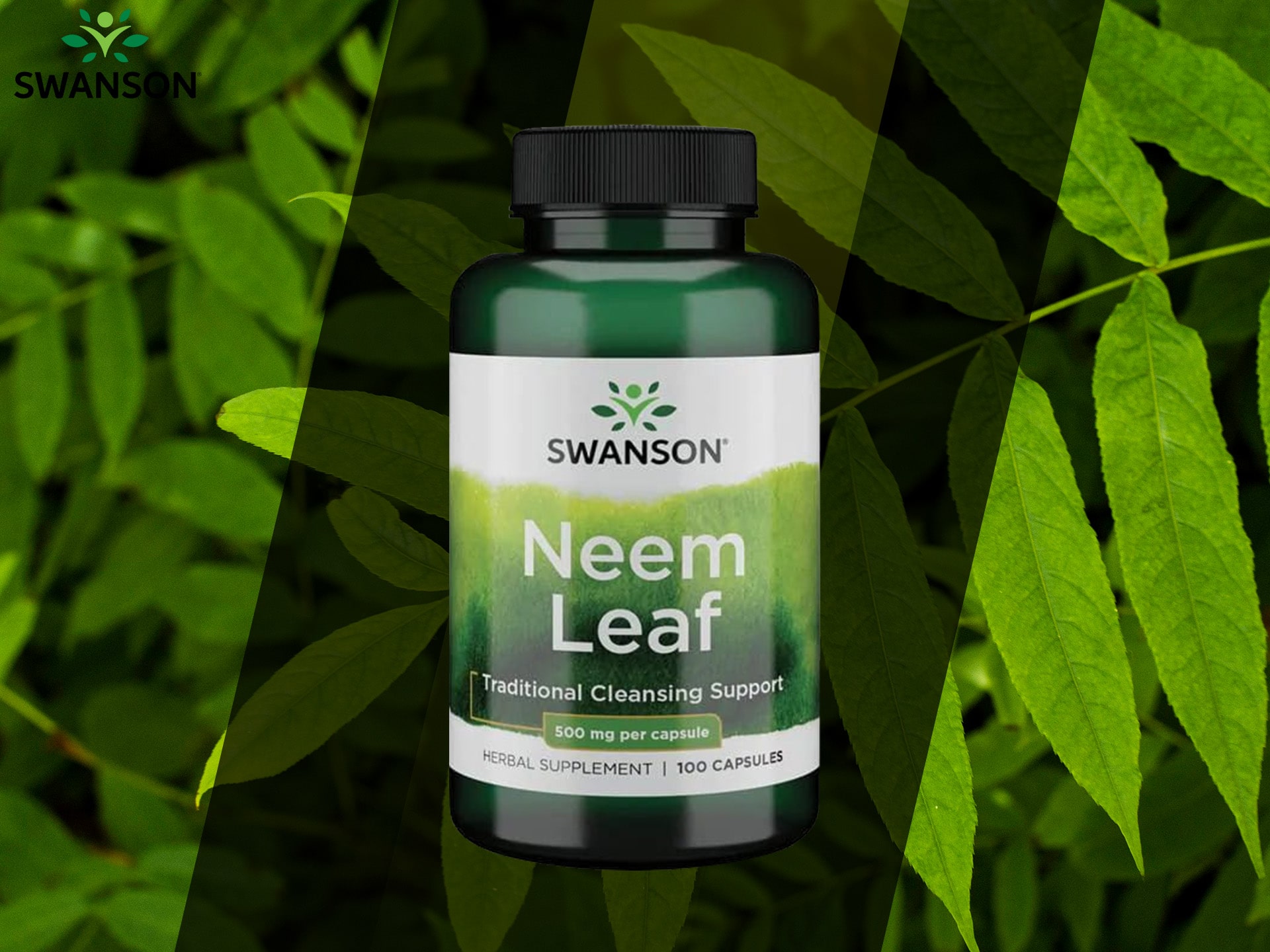 Swanson - Neem Leaf - antioxydant, anti-inflammatoire et antibactérien