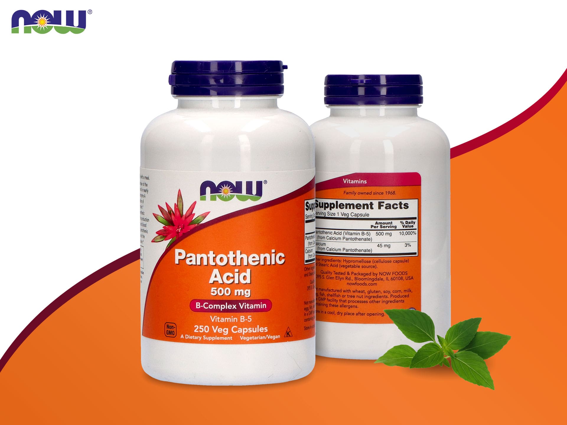 Acide pantothénique