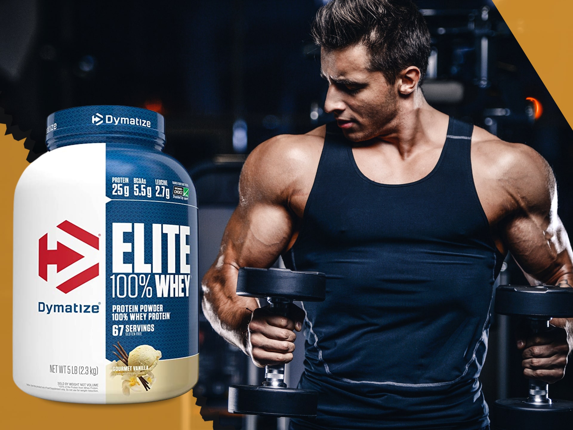 Dymatize - Elite Whey Protein matrice de protéines