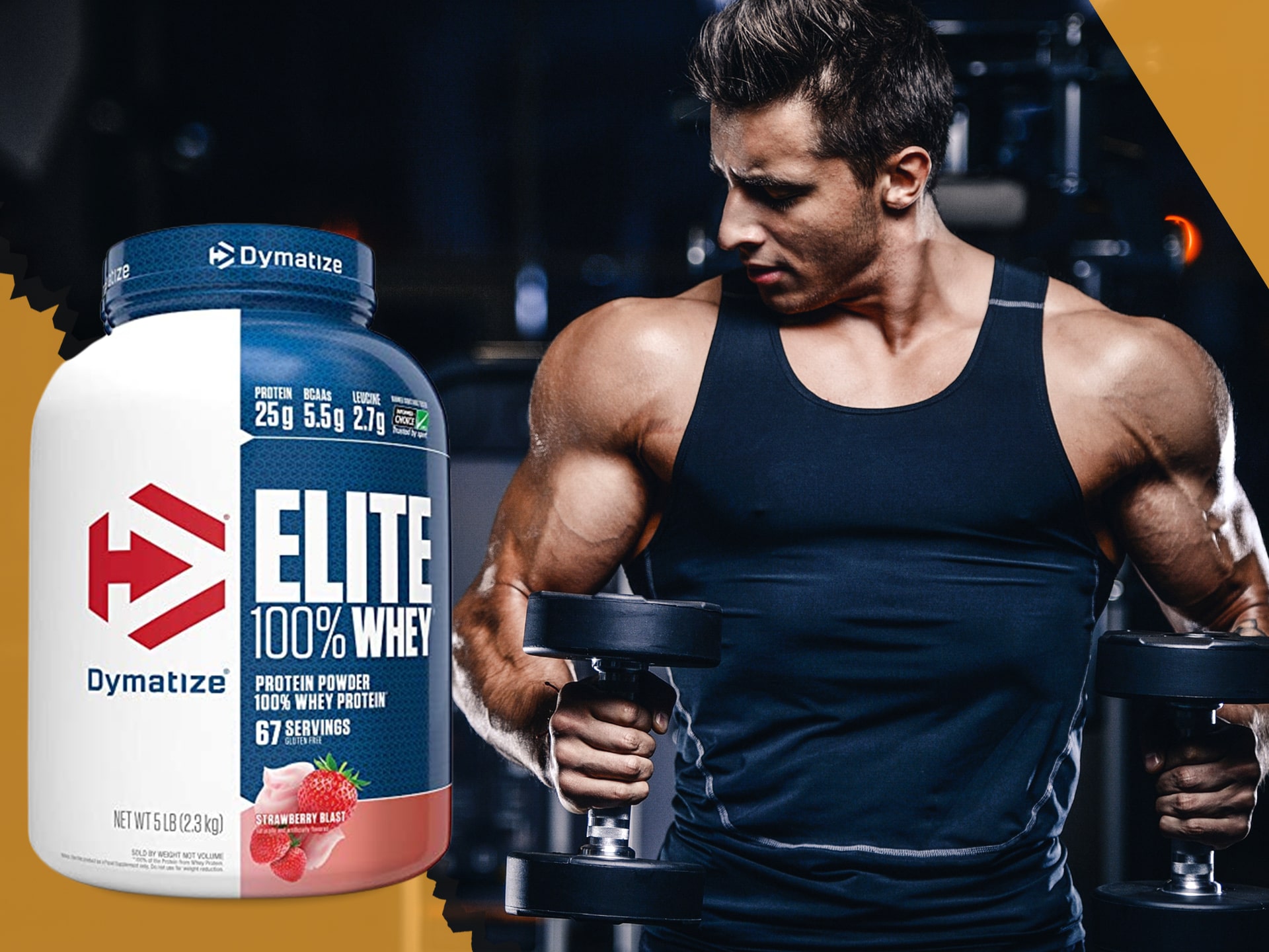 Dymatize Elite Whey Protein matrice protéique