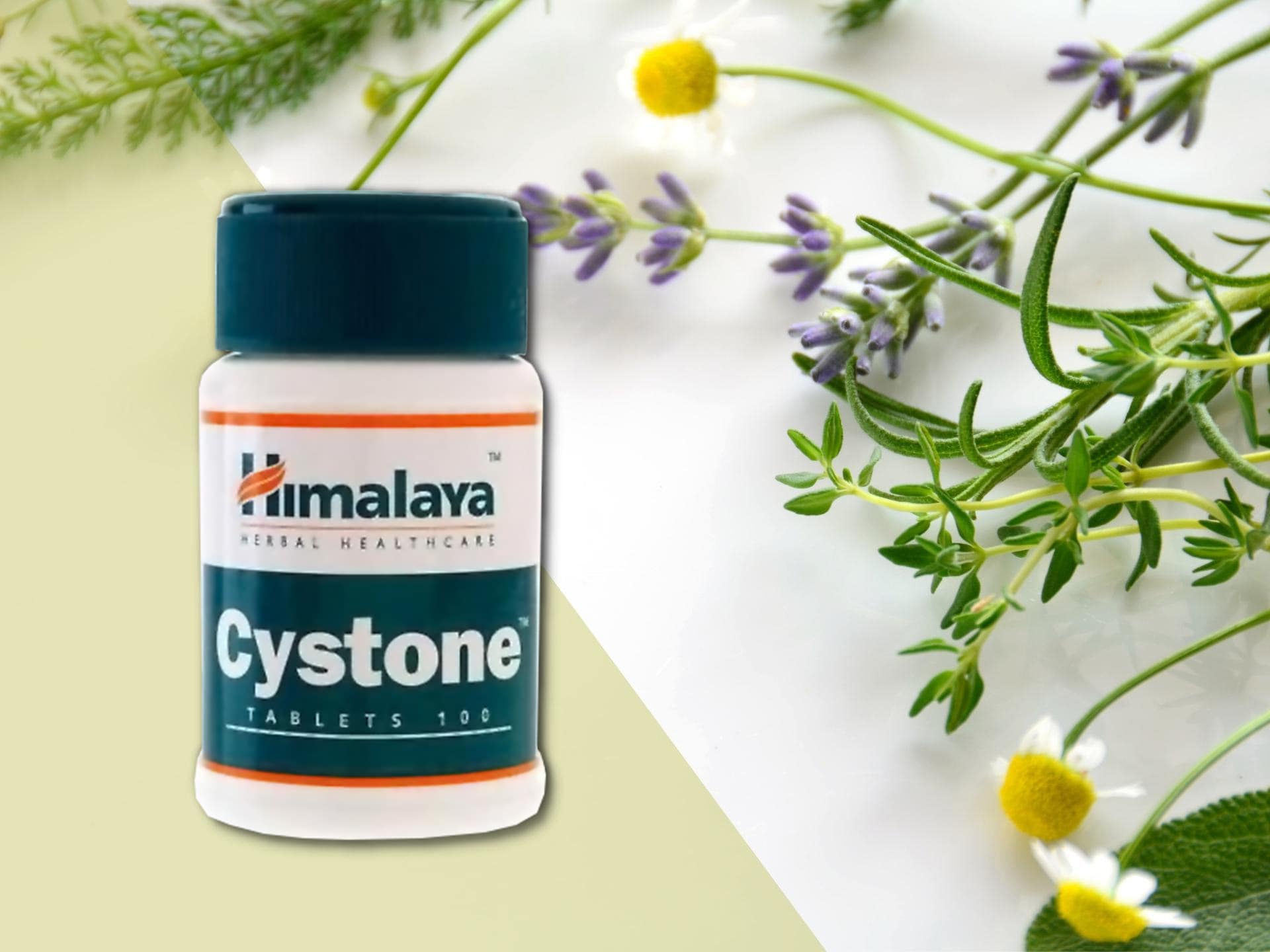 Himalaya - Cystone - soutien de la fonction rénale