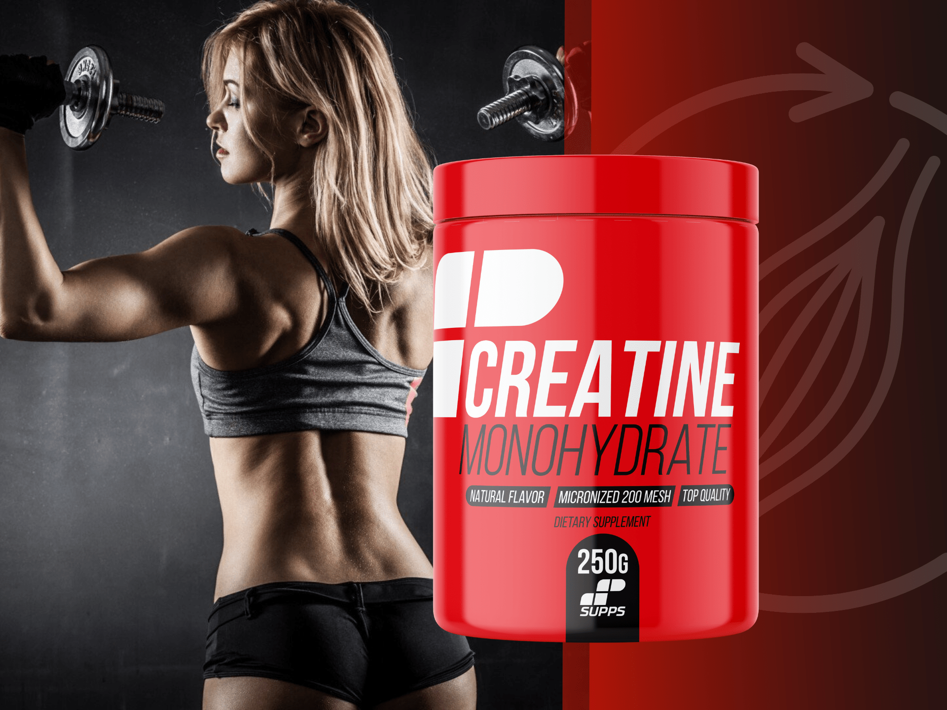 Monohydrate de créatine - MP Sport - endurance, performance