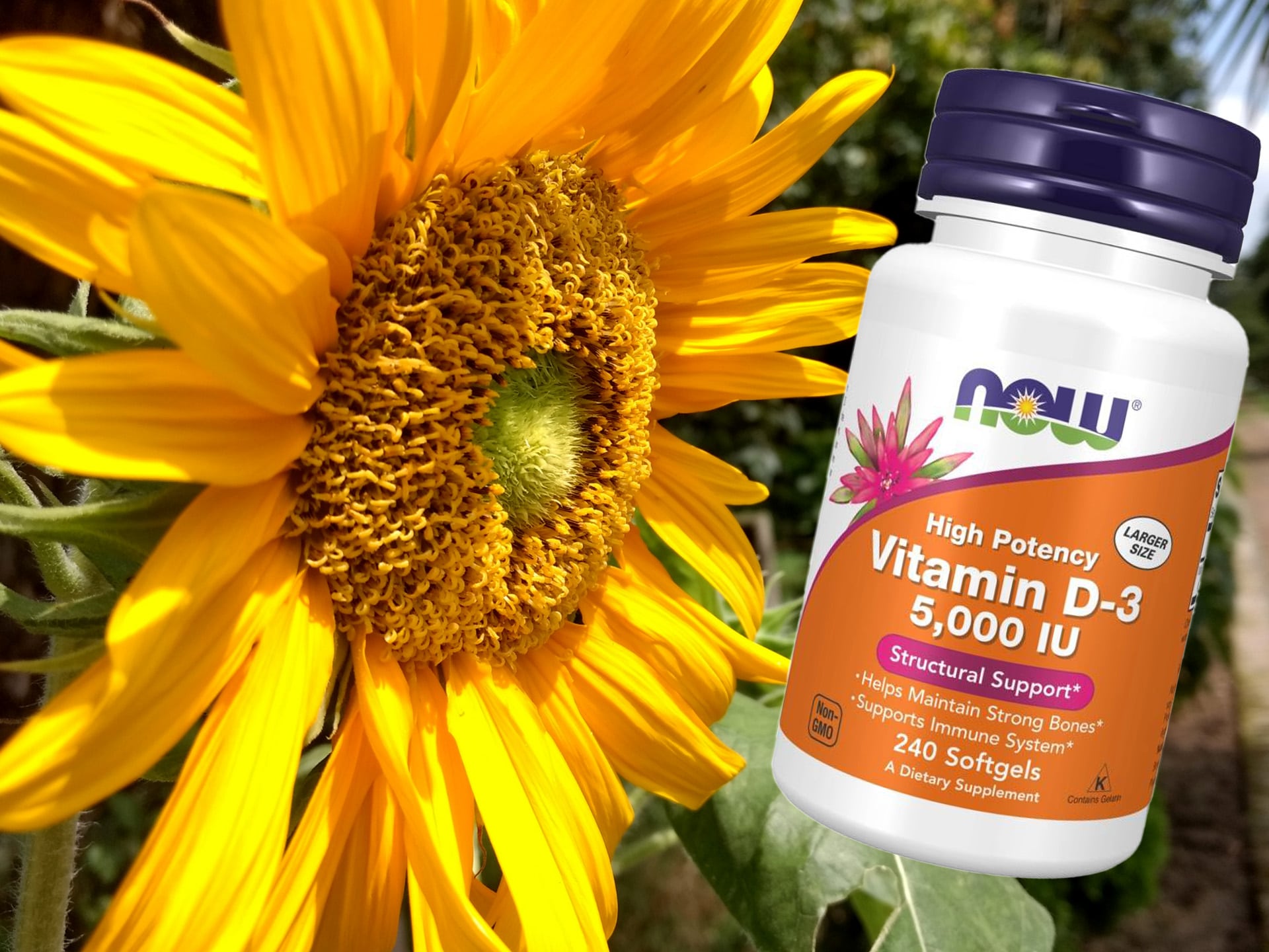 NOW - Vitamin D3 - 5000IU - 240softgels