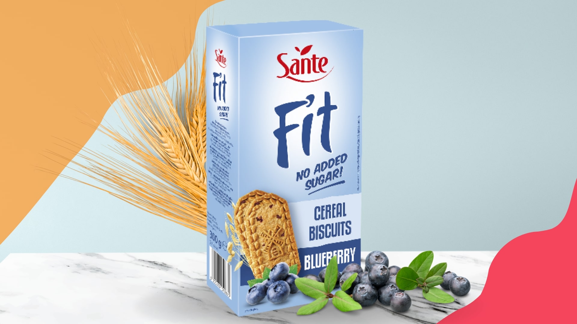 Sante - Fit Cereal Biscuits - Biscuits céréaliers Fit aux myrtilles - sans sucre, riche en fibres