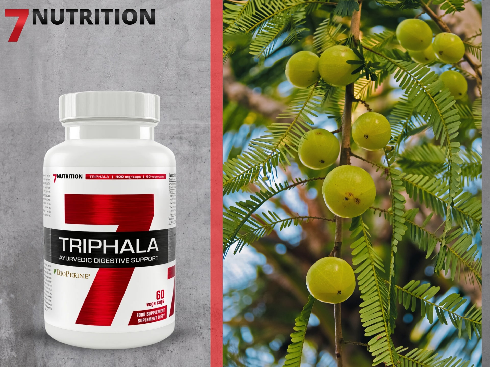 7 Nutrition Triphala - renforcement de l'organisme, ayurvéda