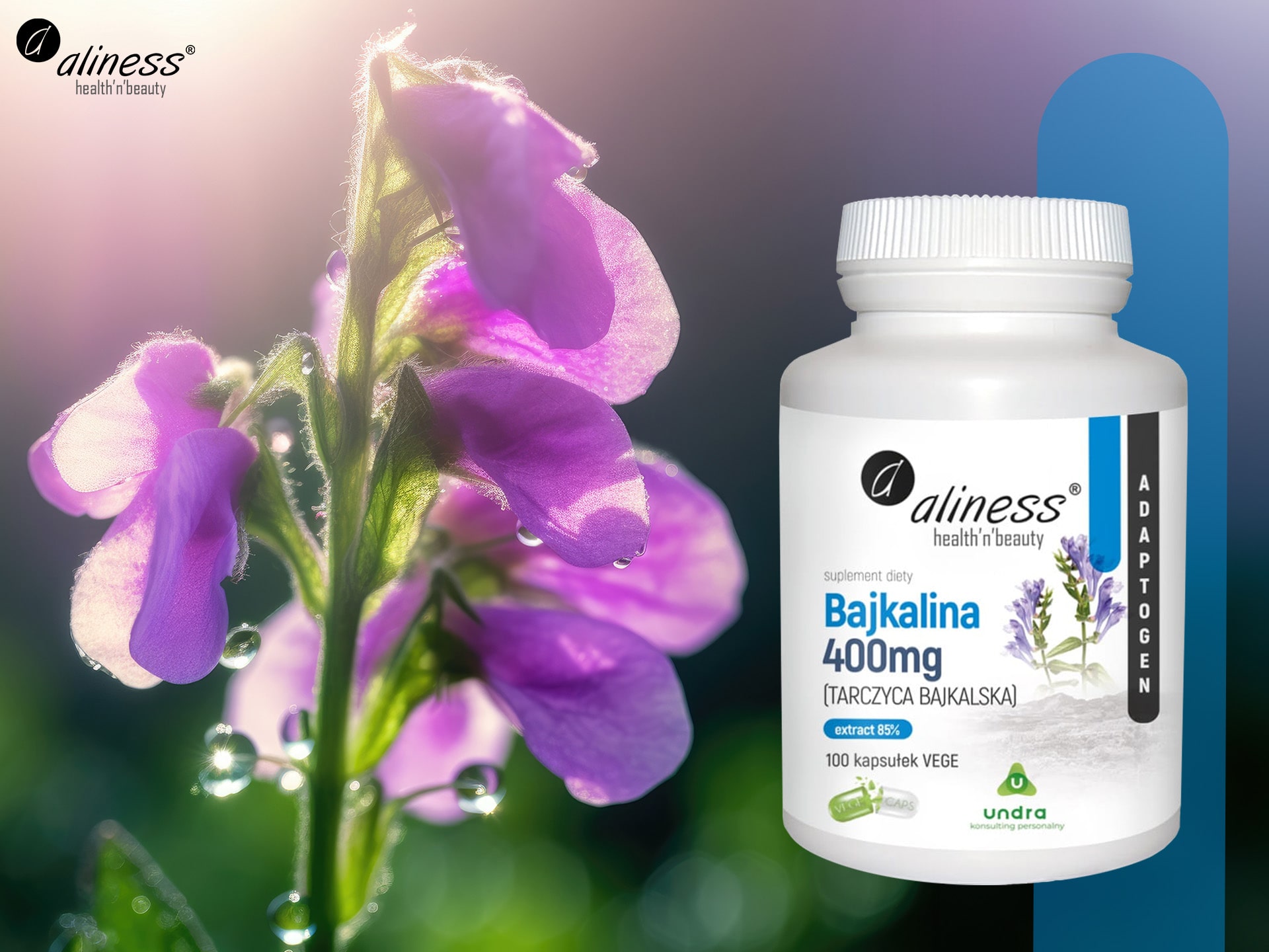 Aliness - Bajkalina - adaptogen, antioxydant, soutien du corps, des articulations et des muscles