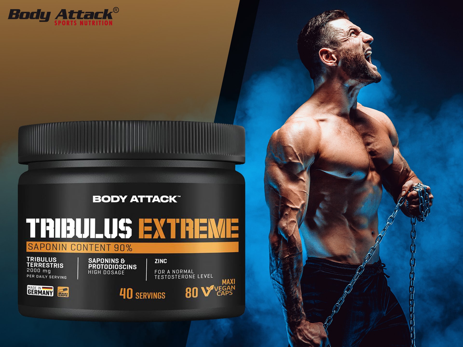 Tribulus - extrait de Tribulus terrestris - booster de testostérone
