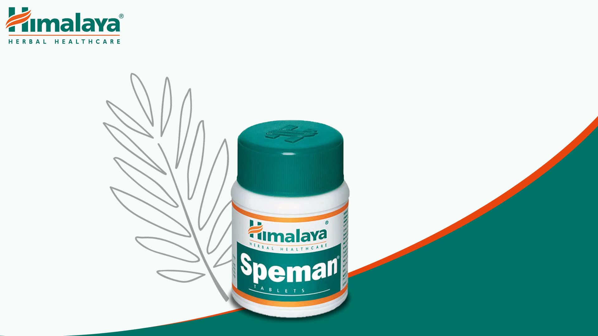 Speman - Tribulus terrestris, puissance sexuelle