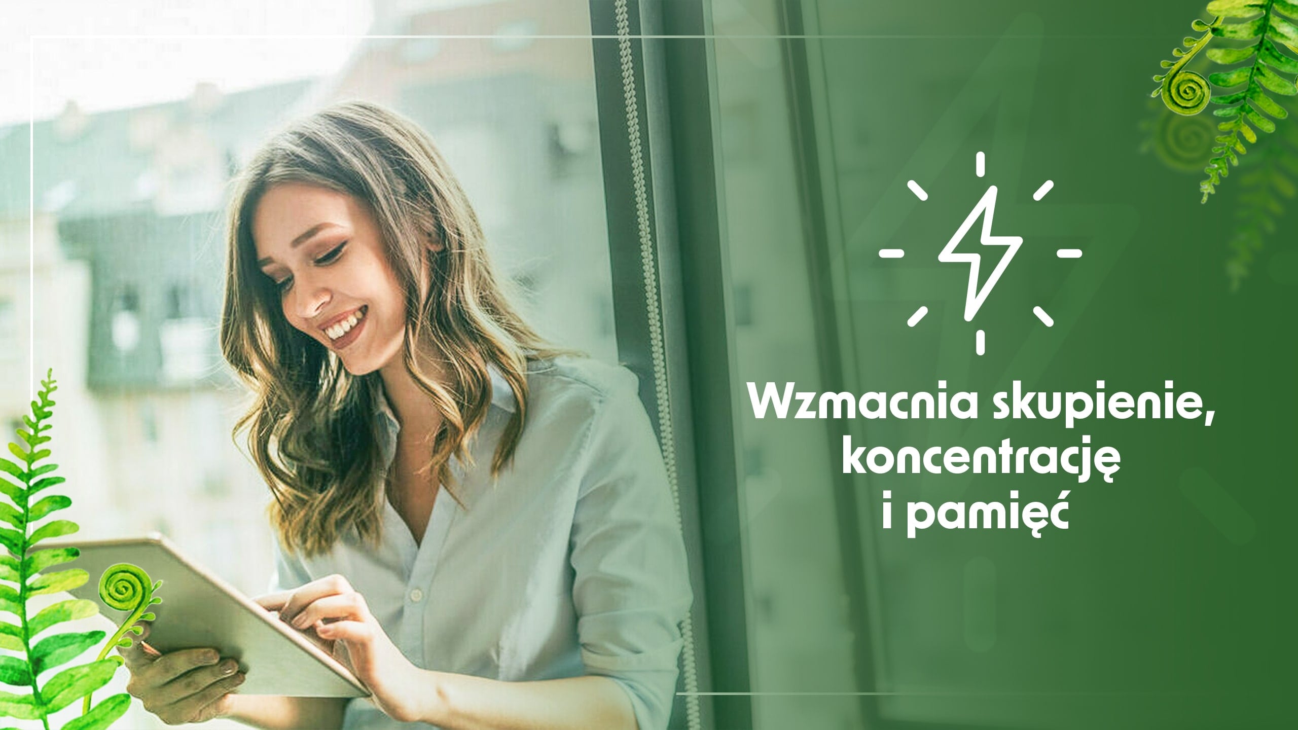 Soplówka Jeżowata - soutien du système nerveux