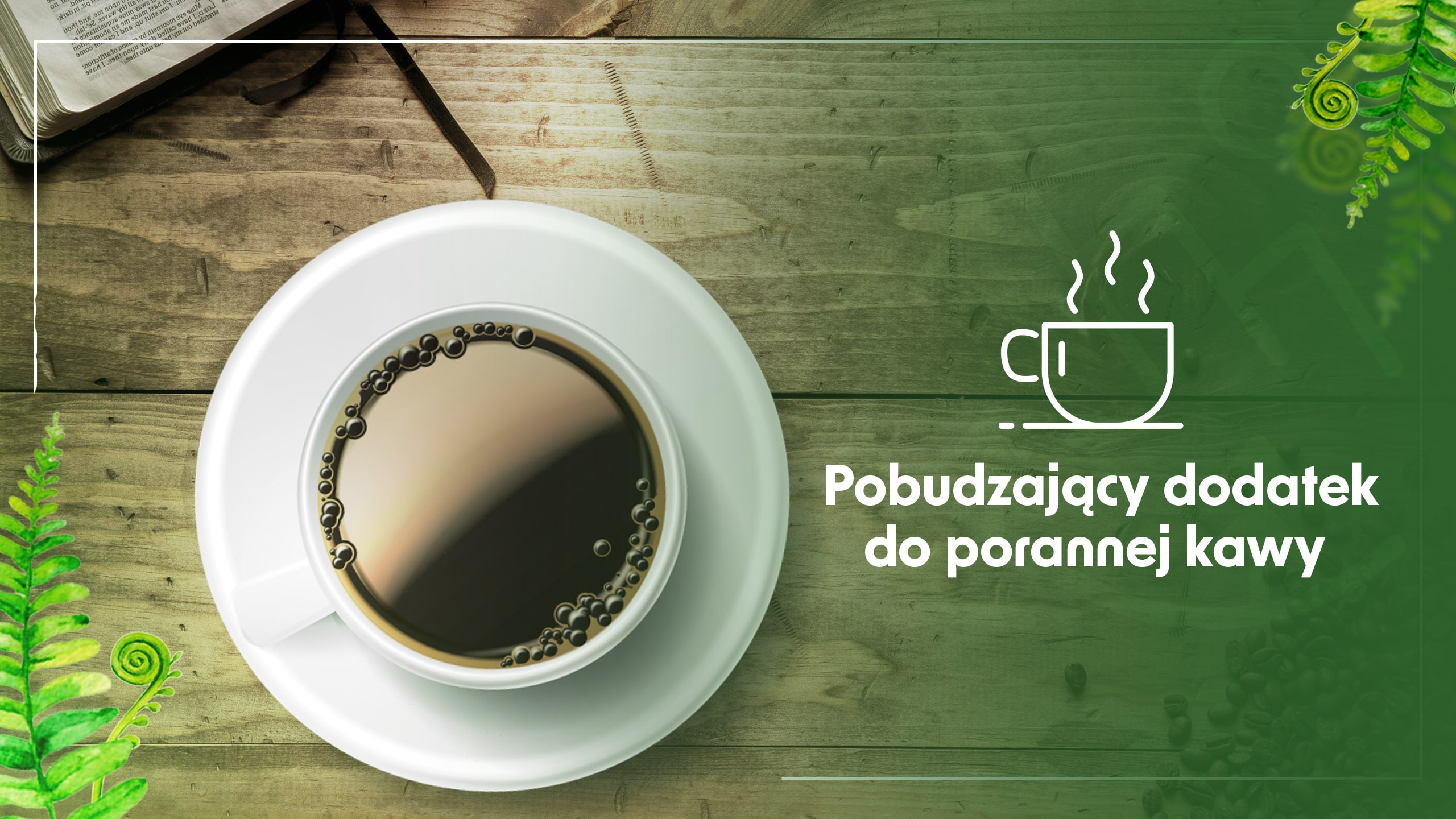 Lion's Mane - préparez-vous un café aux champignons et ressentez la puissance !