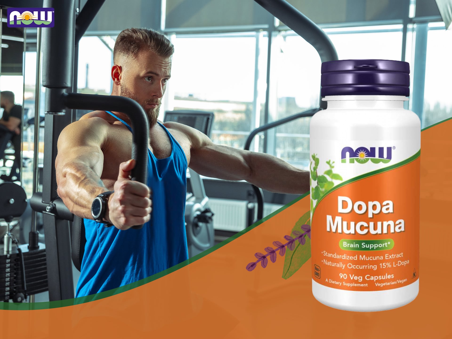 dopa mucuna