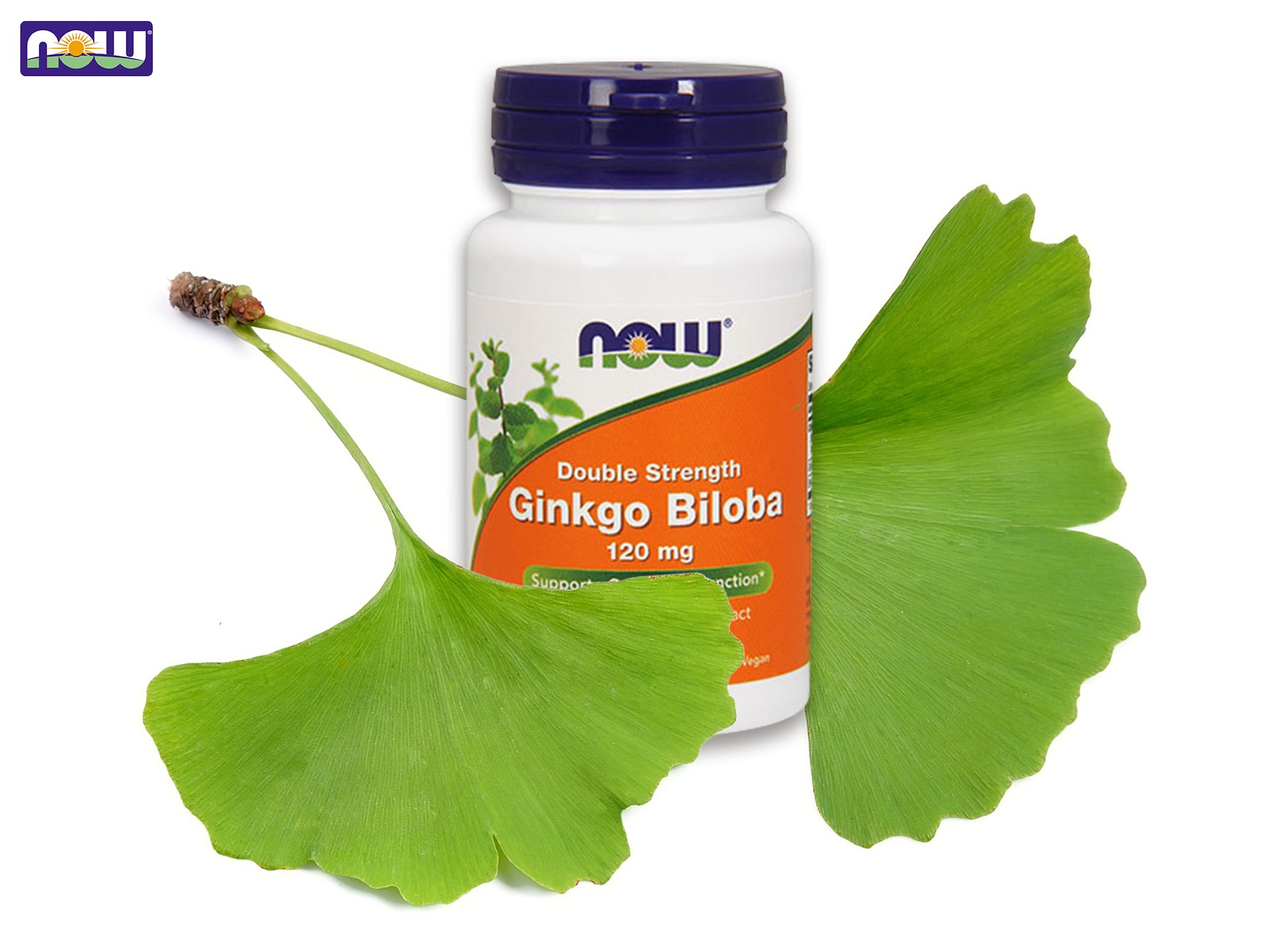 biloba