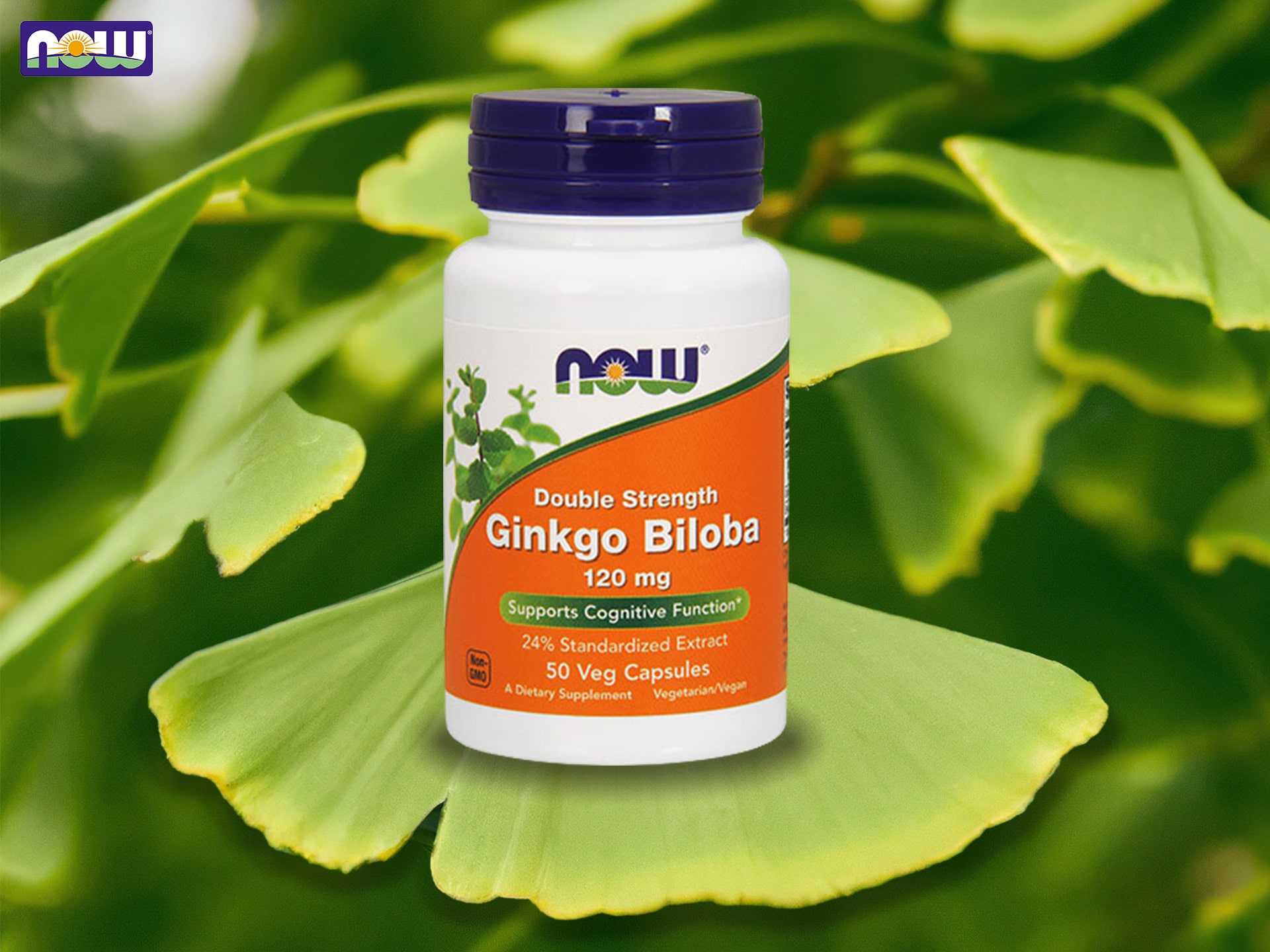 biloba