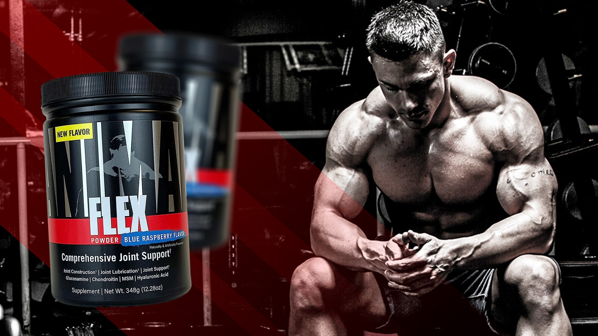 Animal Flex - produit pour les articulations