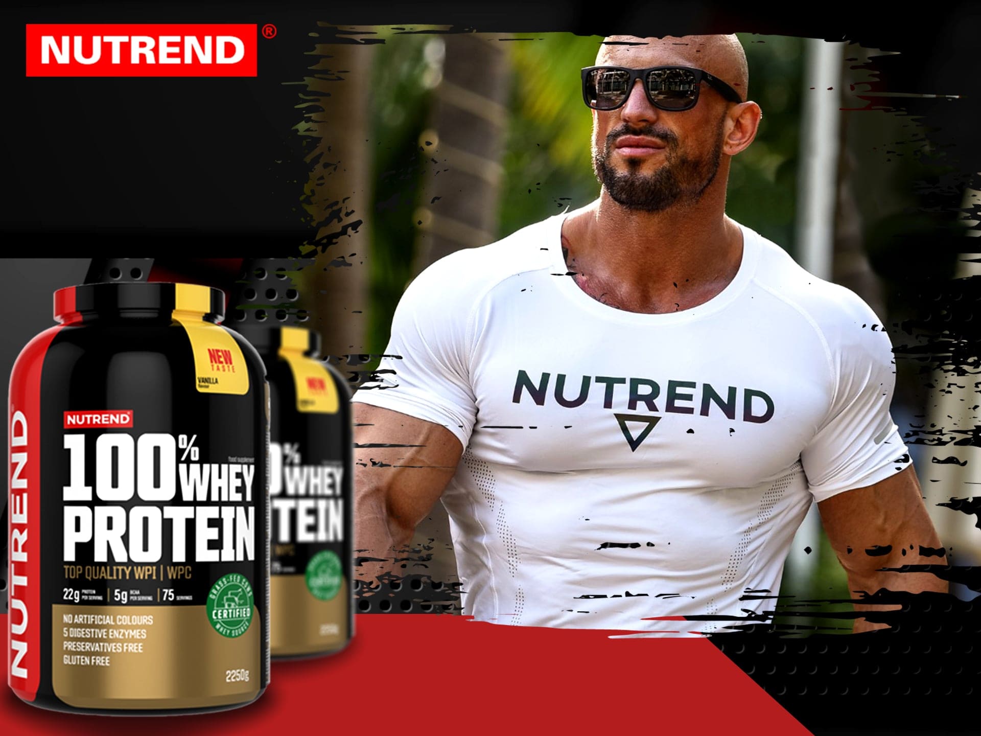 Protéine Whey