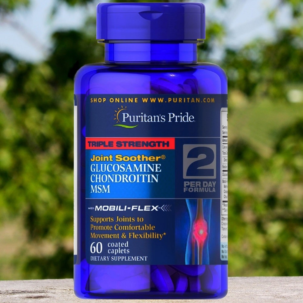 Puritan's Pride Glucosamine Chondroitin MSM