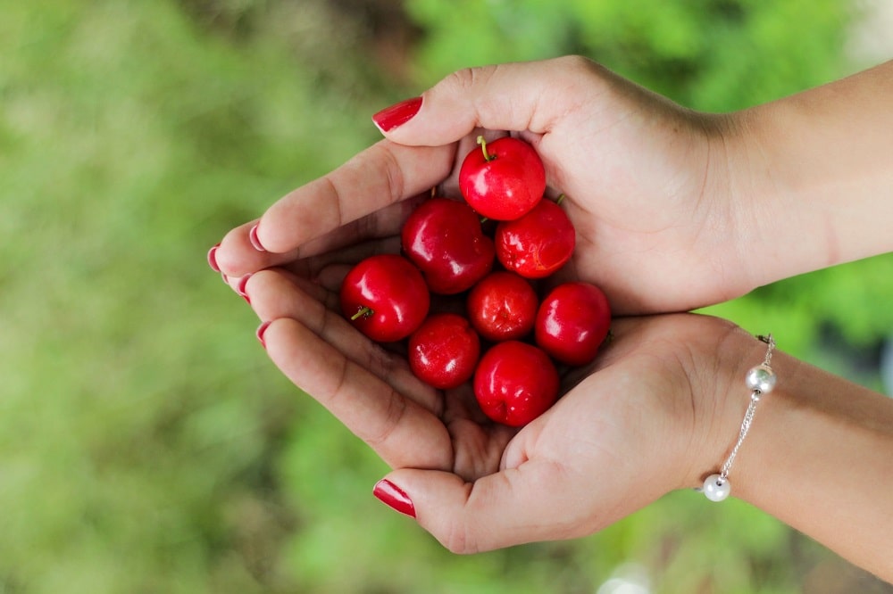 acerola witamina C