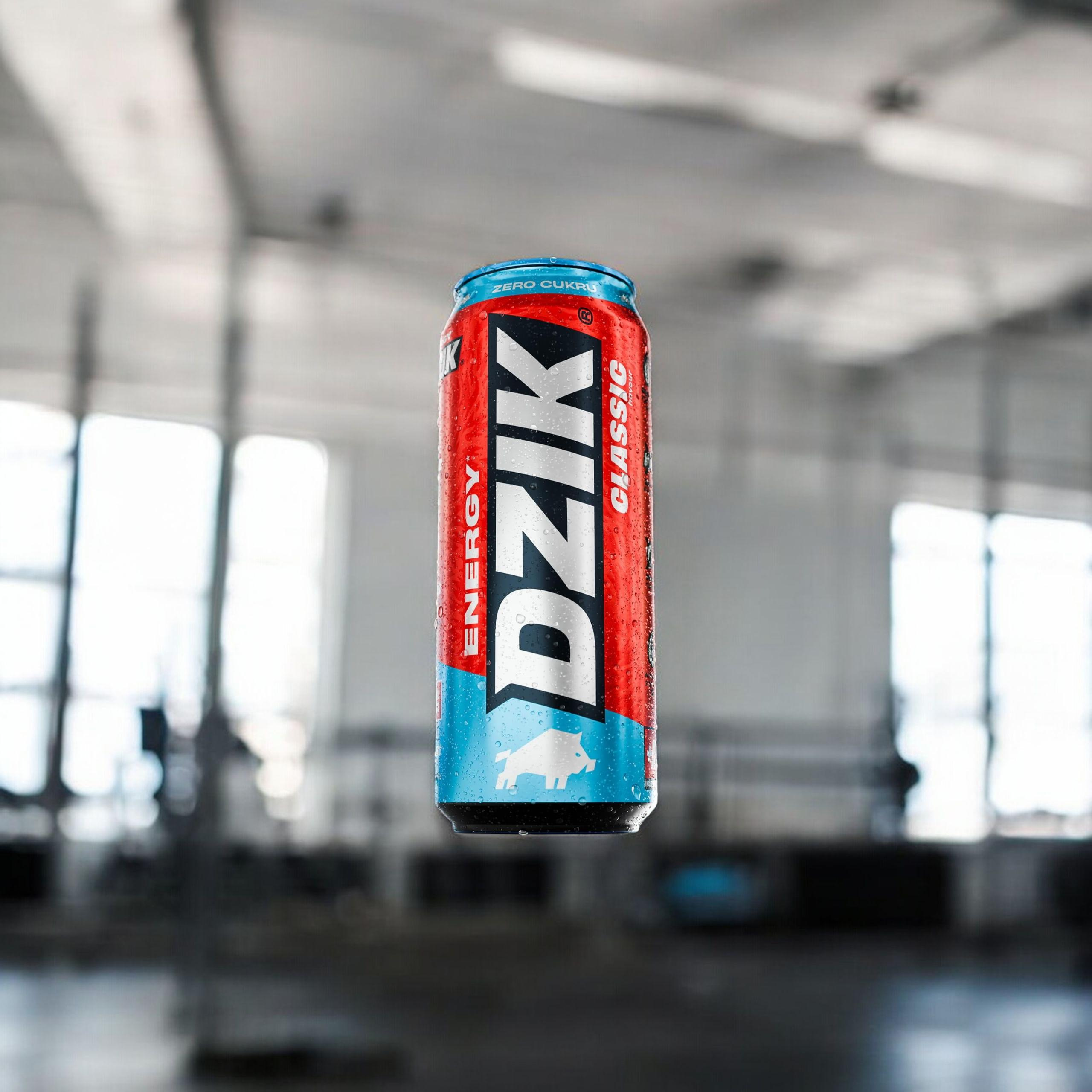 DZIK Énergie 24x 500ml