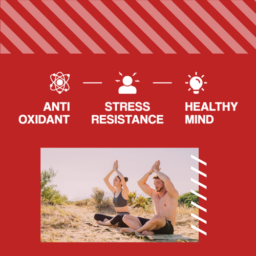 MP NUTRITION Ashwagandha 450mg 9% witanolidów - 60 caps