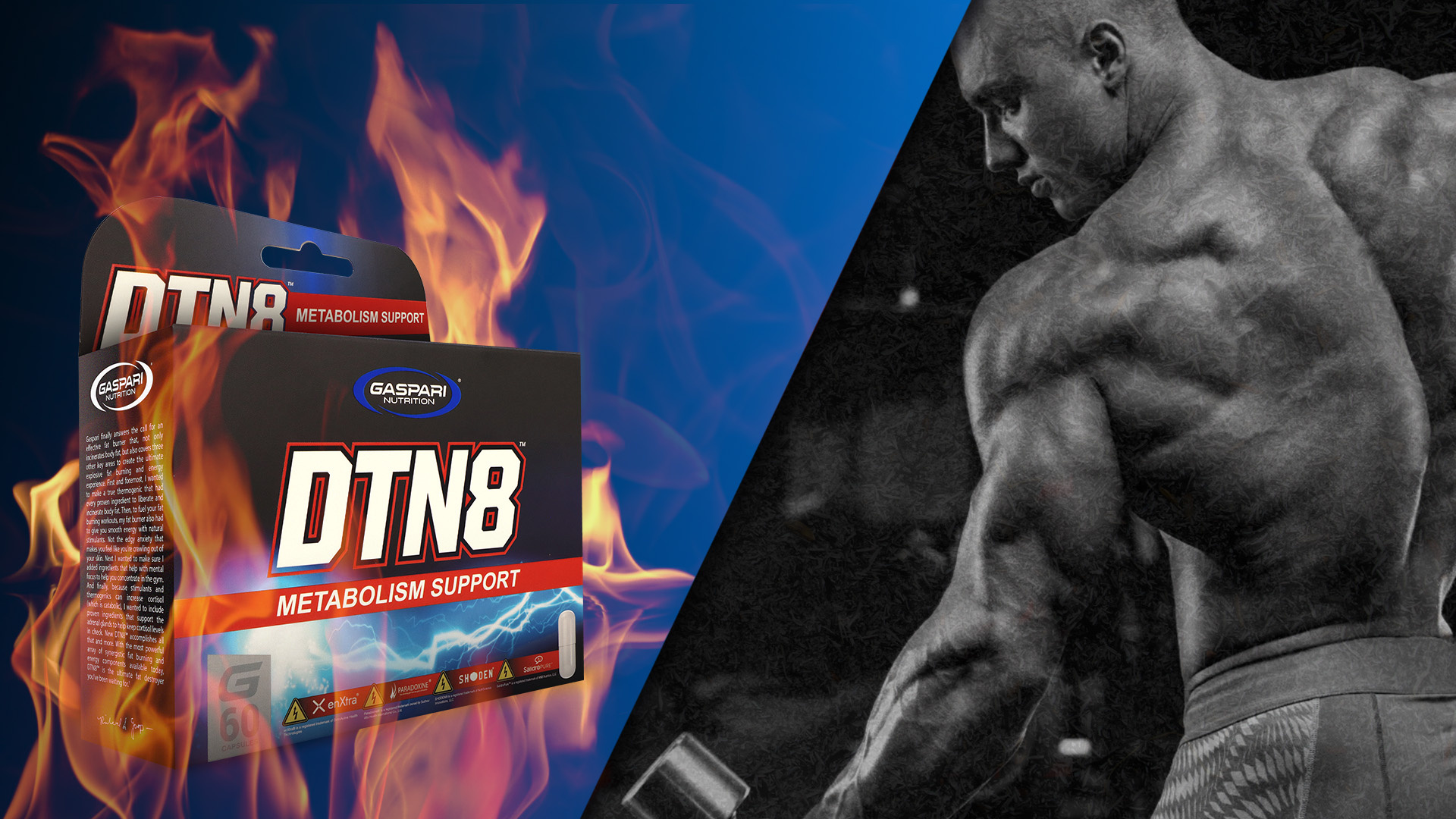 GASPARI NUTRITION - Dtn 8 - 60 gélules