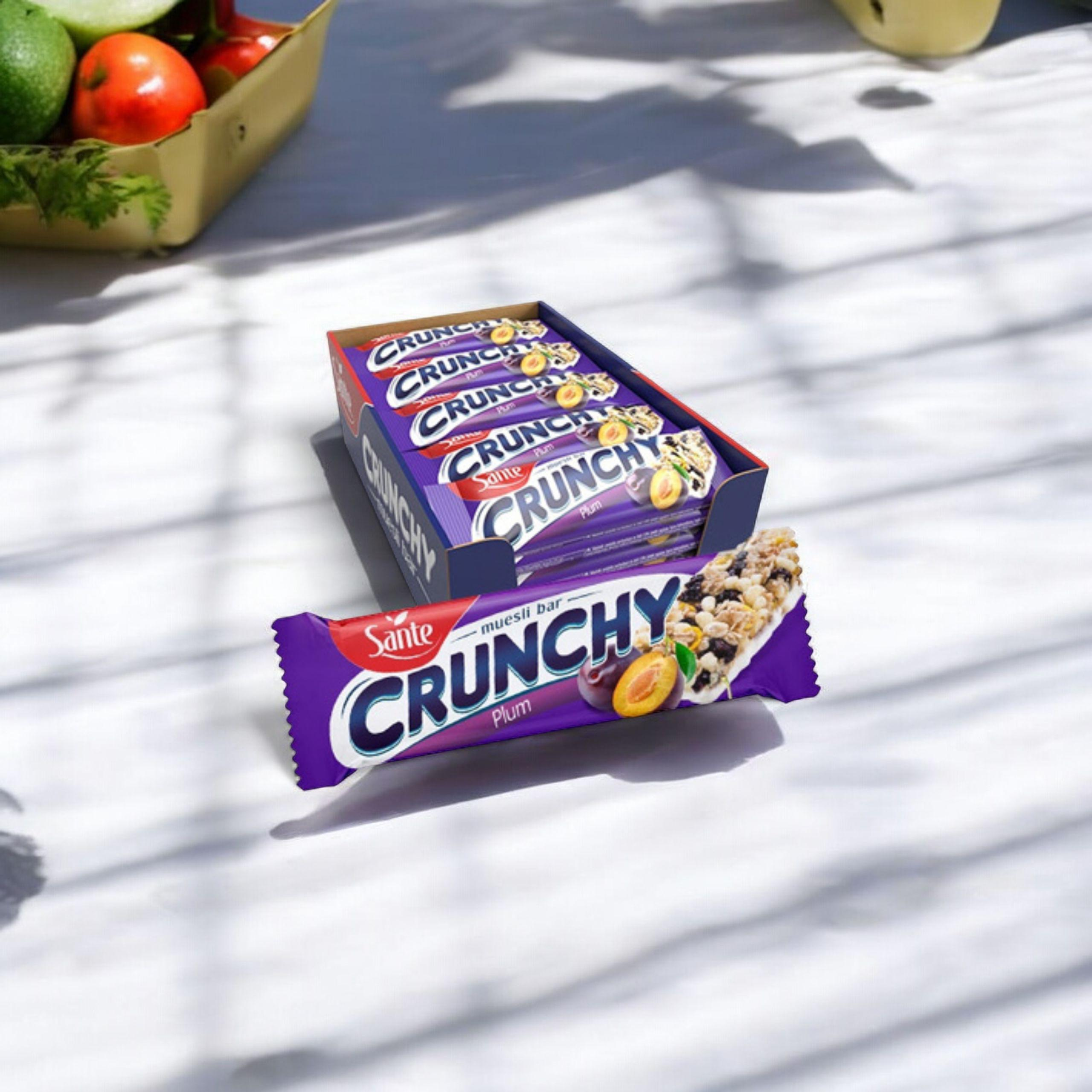 SANTE Baton Crunch - 25x 40g