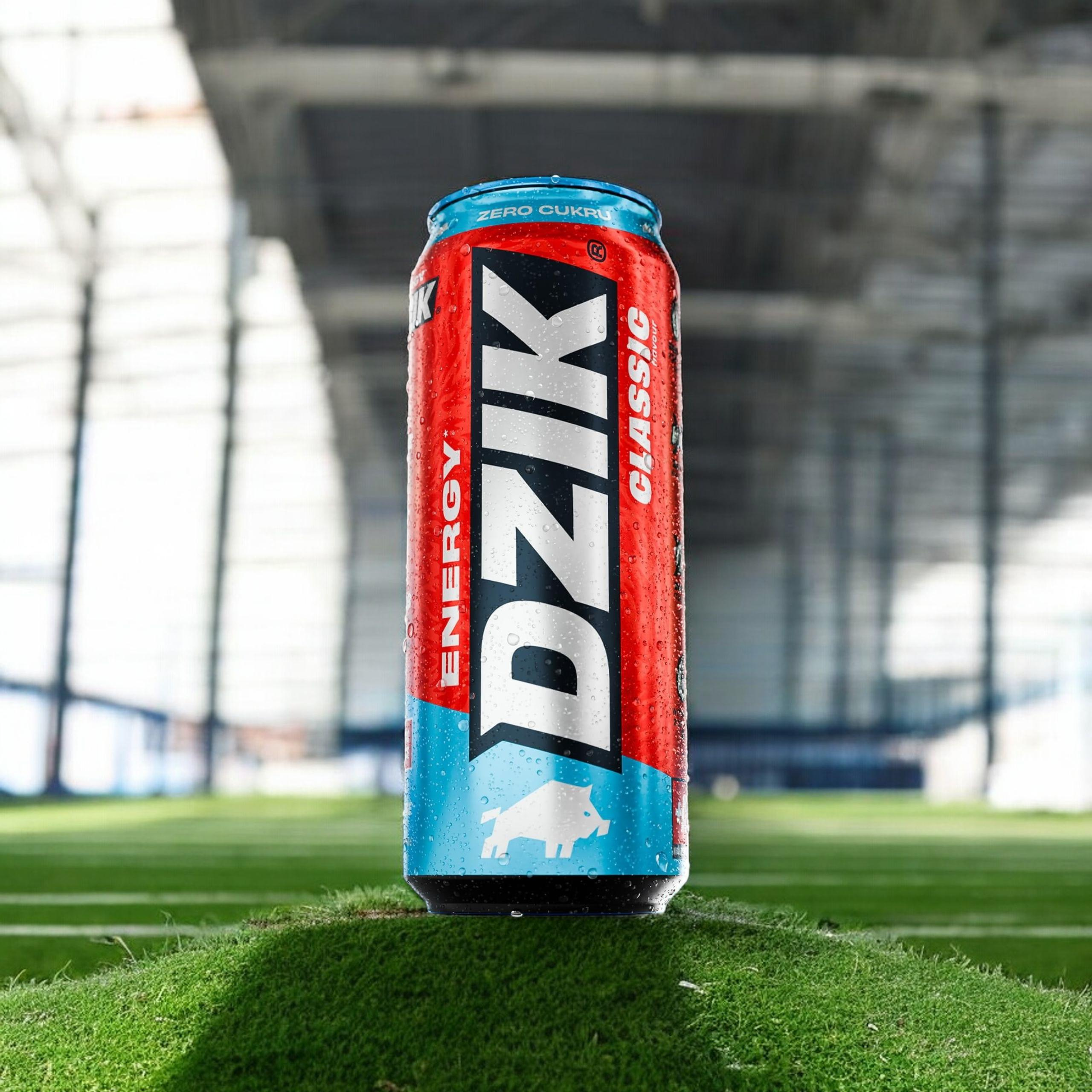 DZIK Énergie 24x 500ml