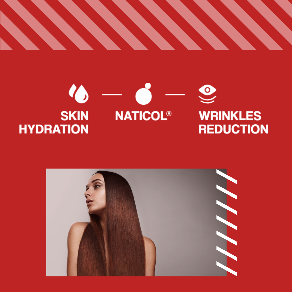 MP NUTRITION Marine Collagen 550mg - 120caps - Collagène Marin Naticol