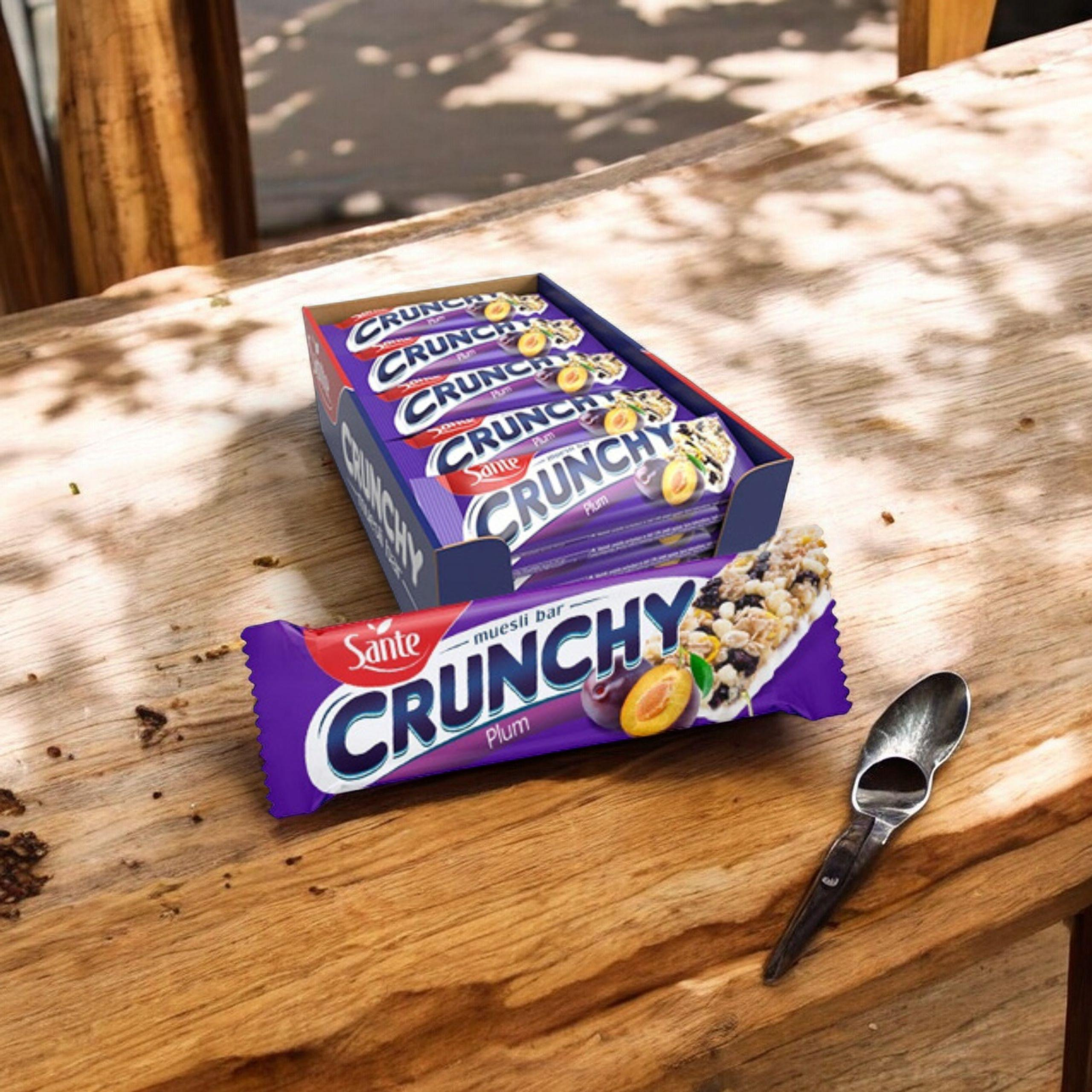 SANTE Baton Crunch - 25x 40g