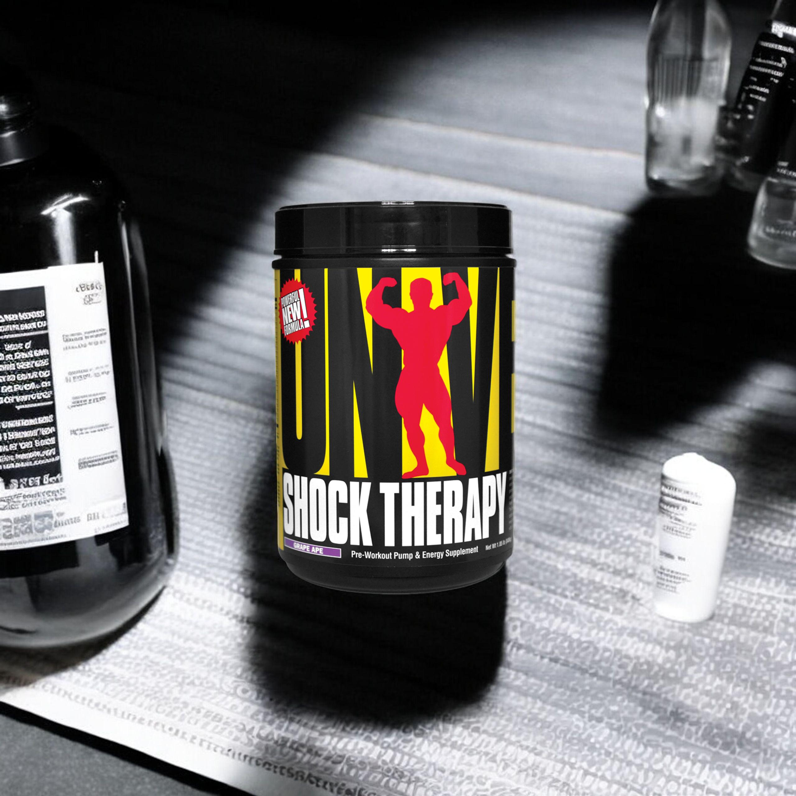 UNIVERSAL Shock Therapy - 840g