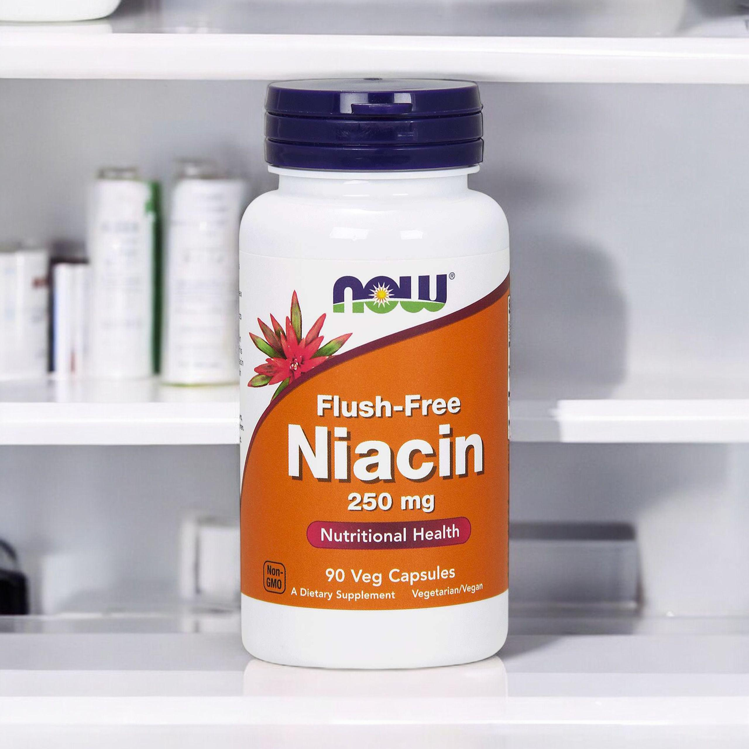 NOW Niacin Flush Free 250mg - 90vcaps