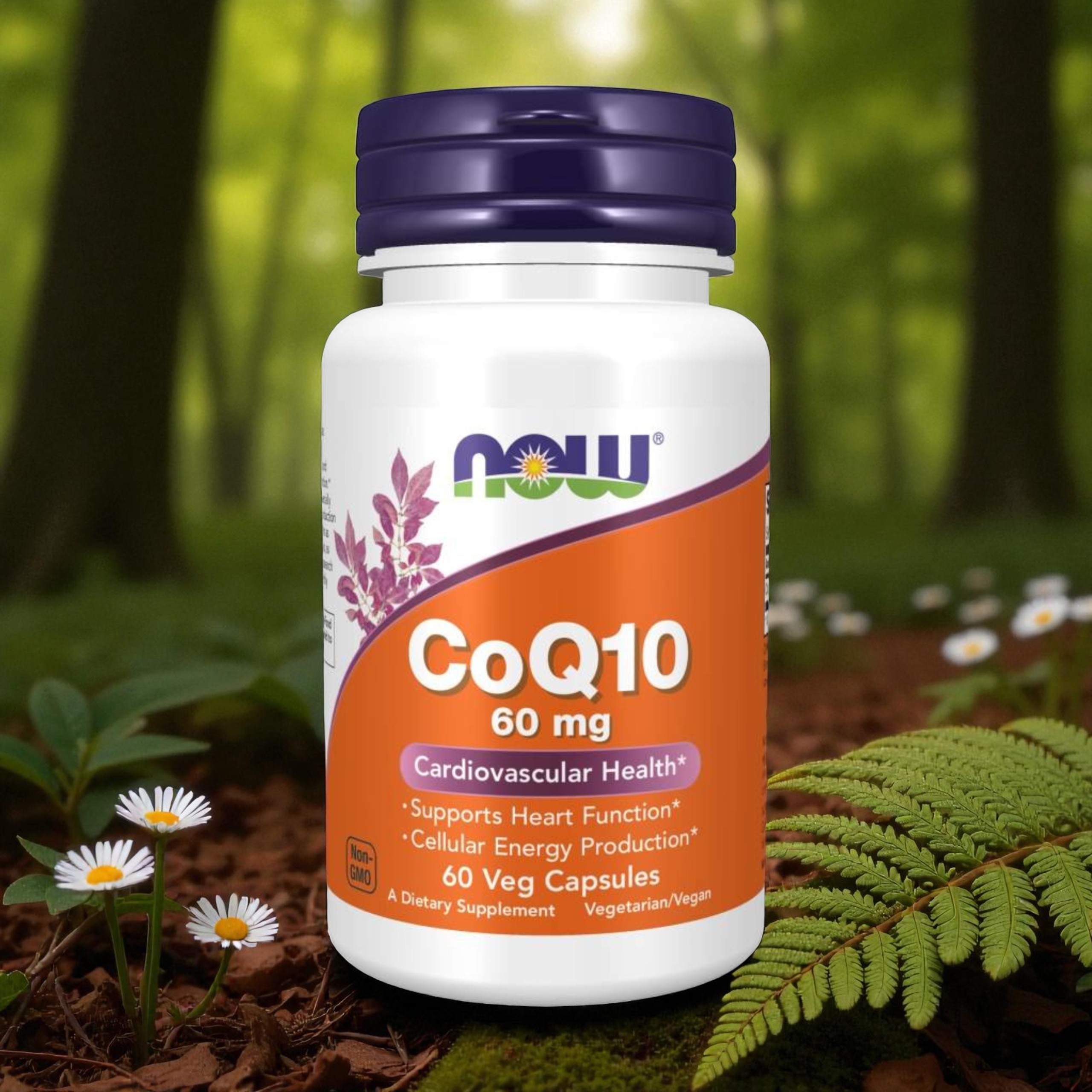 NOW - CoQ10 60mg - 60 gélules végétales.