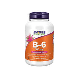NOW Vitamin B-6 100mg - 250vcaps - Vitamine B6