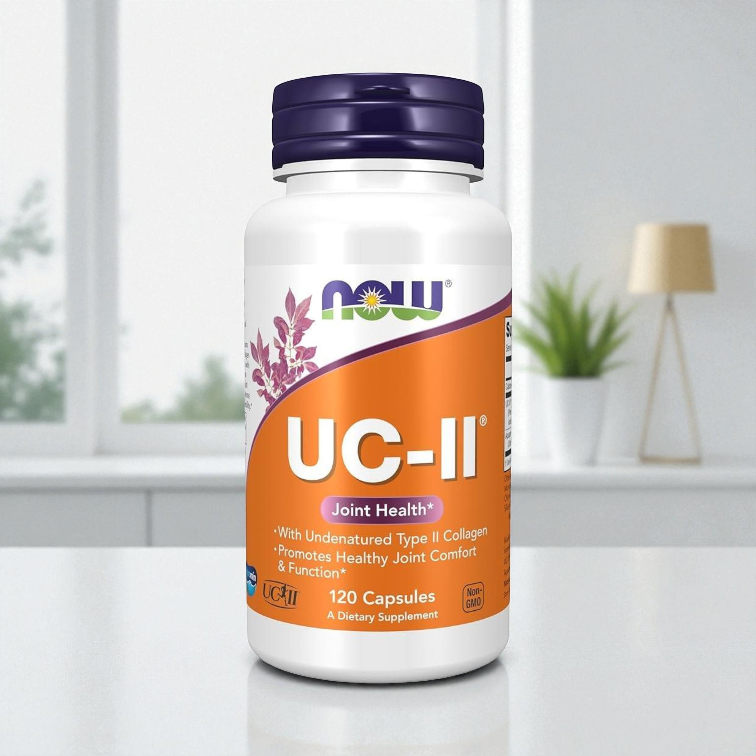 NOW - UC-II Collagène Type II 40mg - 120 gélules végétales. pol_pl_NOW-UC-II-Collagen-Type-II-40mg-120vcaps-43042_3